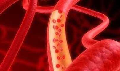 塑料杯 隨手杯 辦公杯 水杯/大水杯(365ML)[供應]_世界工廠網中國產品信息庫